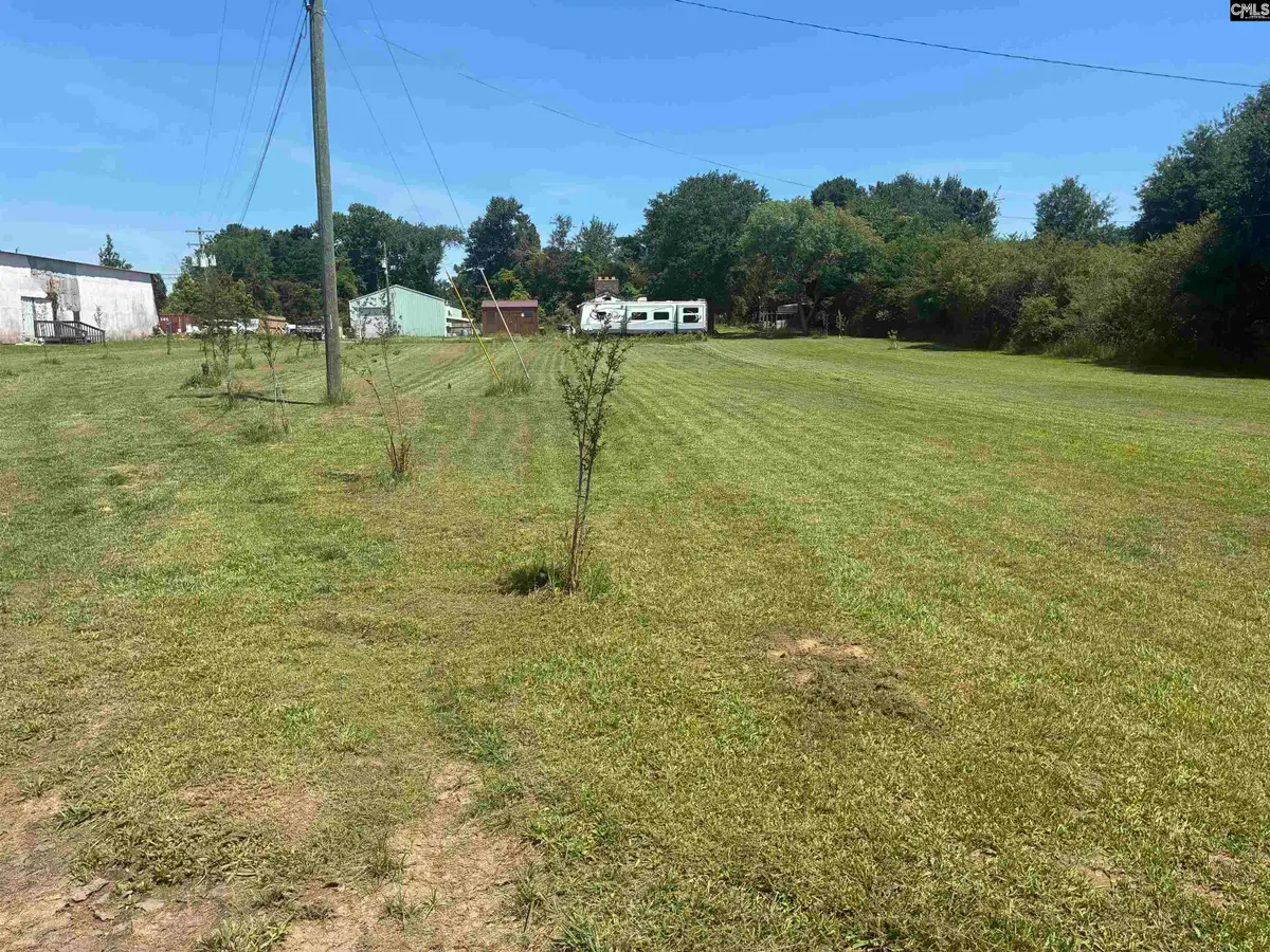 58 Skating Rink Rd, Newberry, SC 29108 - #1