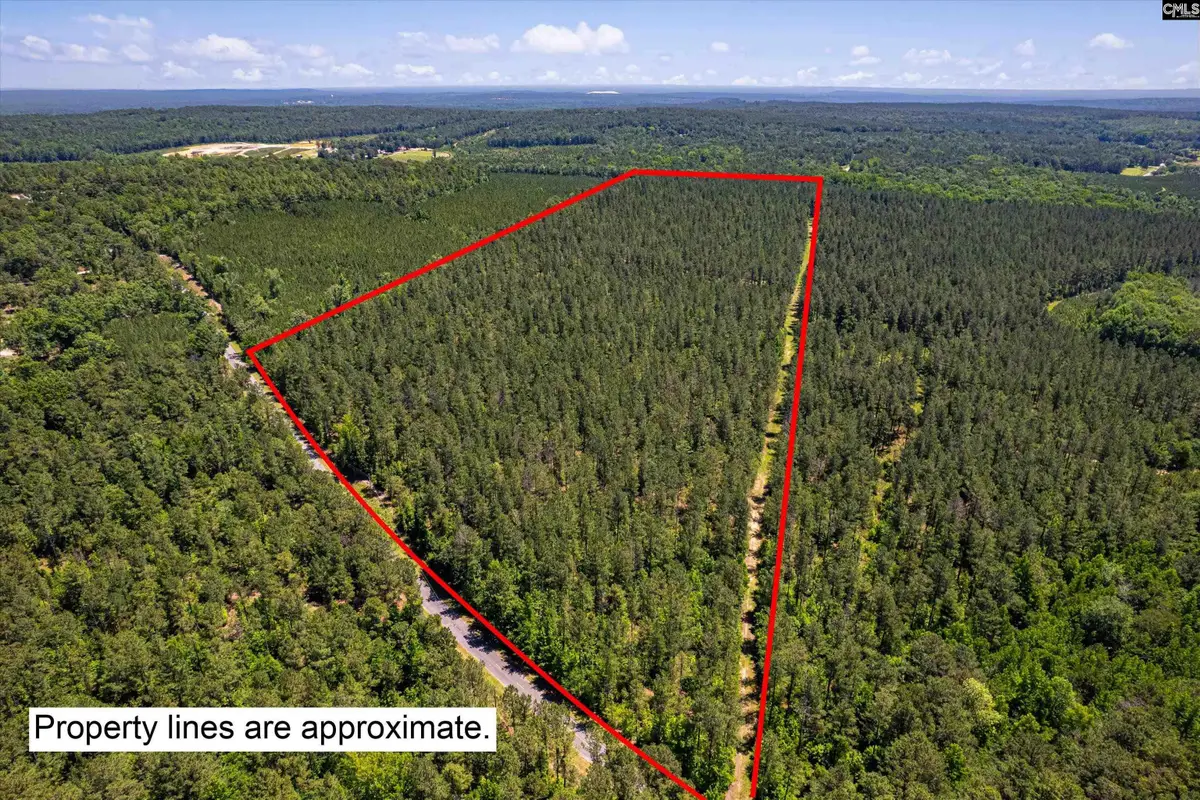TBD Toms Creek Road, Hopkins, SC 29061 - #1
