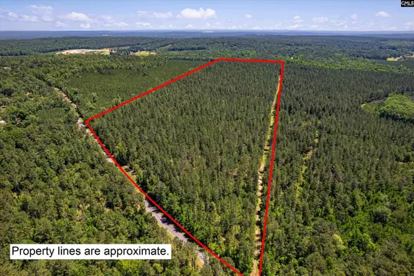 TBD Toms Creek Road, Hopkins, SC 29061