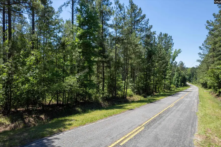 TBD Toms Creek Road, Hopkins, SC 29061 - #2