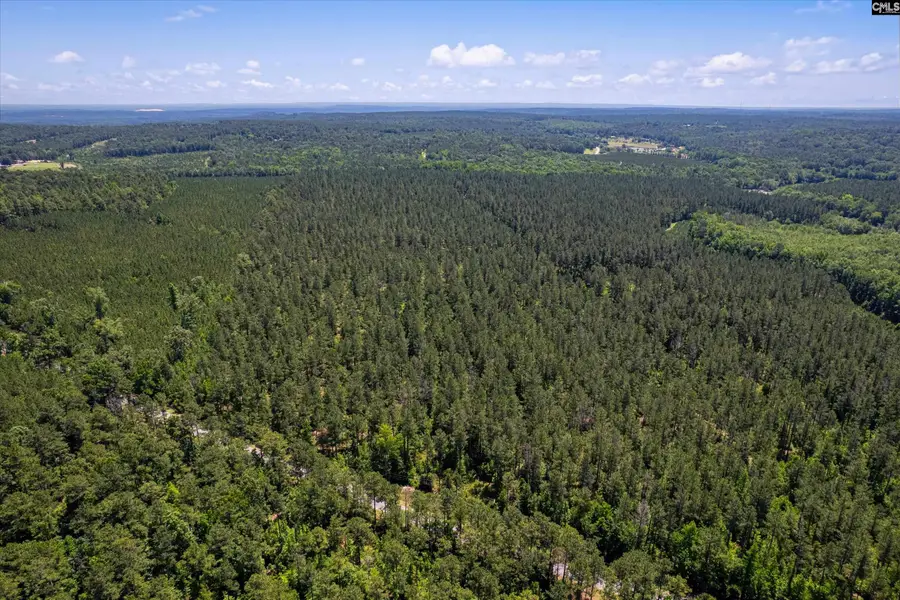 TBD Toms Creek Road, Hopkins, SC 29061 - #3
