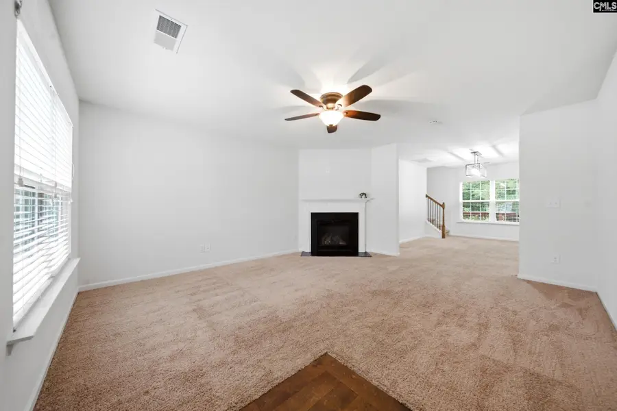 196 Phoenix Lane, Lexington, SC 29072 - #2