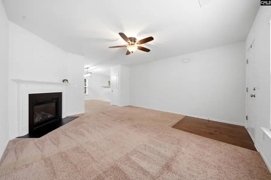 196 Phoenix Lane, Lexington, SC 29072 - #3