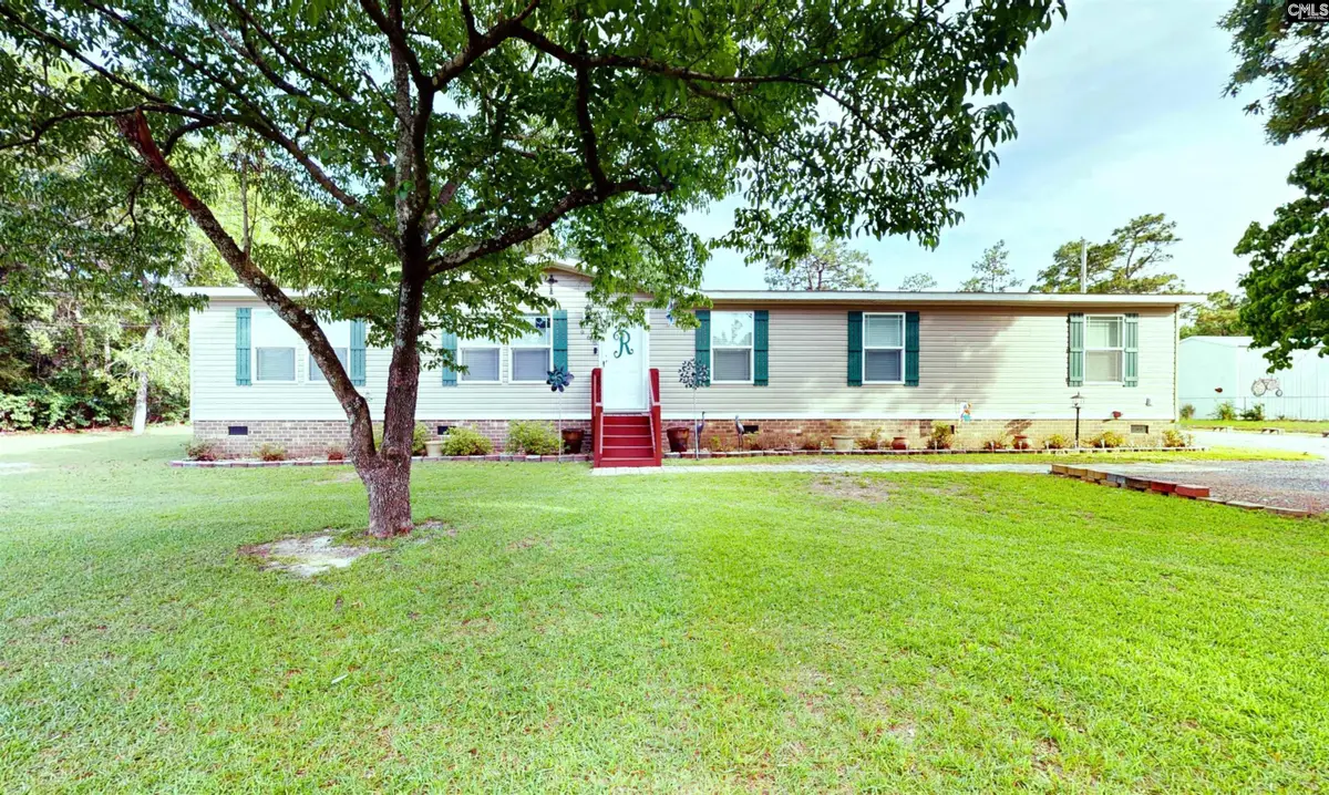965 Crystal Springs Drive, Pelion, SC 29123 - #1