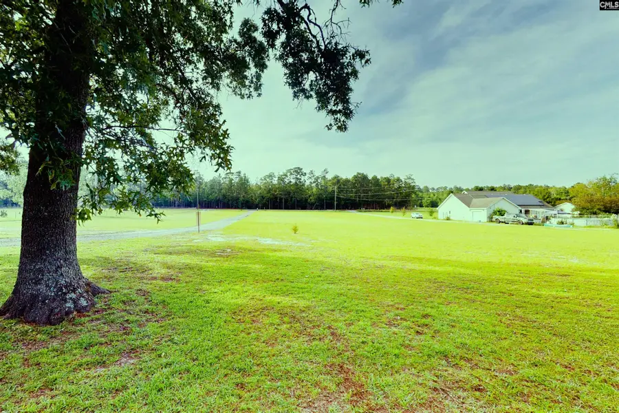 965 Crystal Springs Drive, Pelion, SC 29123 - #3