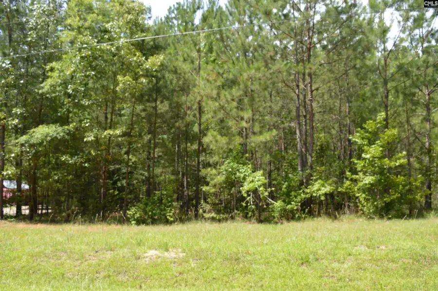172 Colonels Circle, Ridgeway, SC 29130 - #2