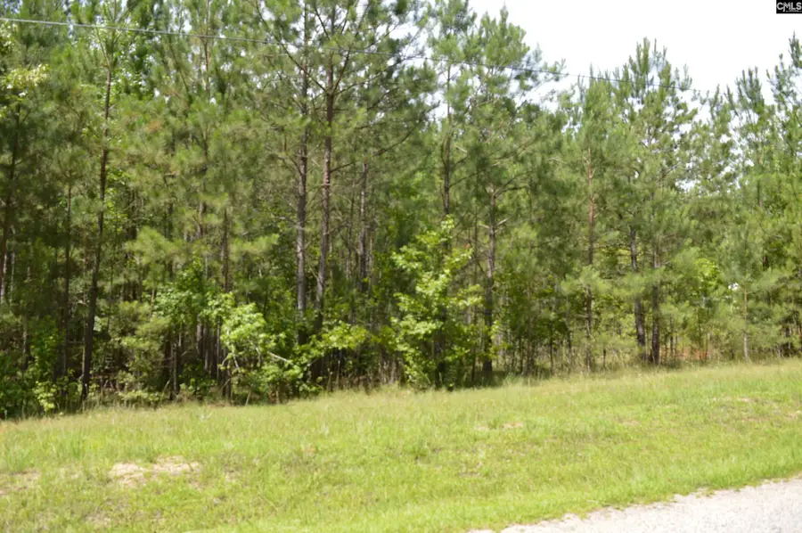 172 Colonels Circle, Ridgeway, SC 29130 - #3