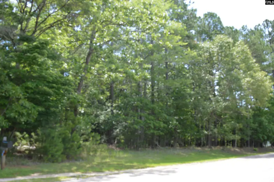 13 Colonels, Ridgeway, SC 29130 - #3