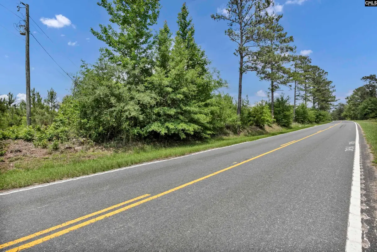 na Bull Swamp, North, SC 29112 - #1