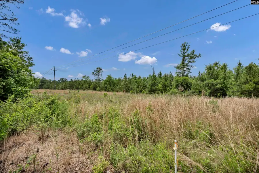 na Bull Swamp, North, SC 29112 - #3