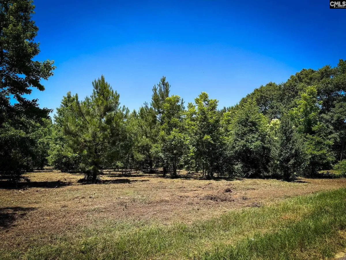 0 S Bethlehem Road #Lot 1, Batesburg, SC 29006 - #1