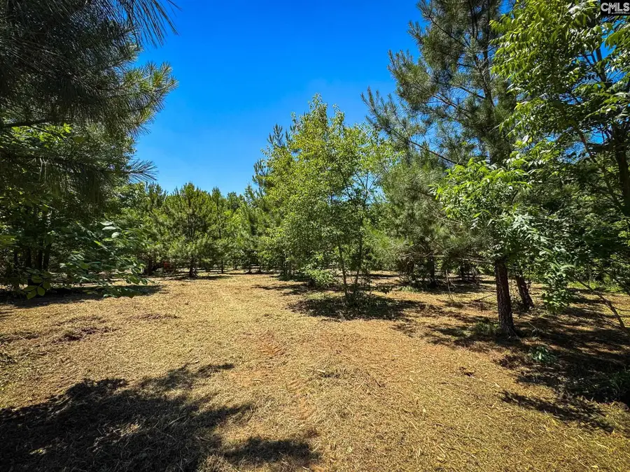 0 S Bethlehem Road #Lot 2, Batesburg, SC 29006 - #3