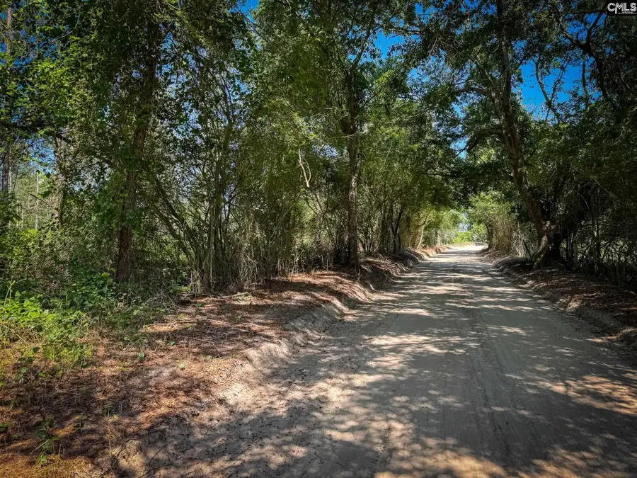 0 Lewis Waters Road #Lot 1, Leesville, SC 29070 - #3
