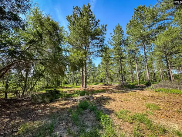 0 Lewis Waters Road #Lot 2, Leesville, SC 29070
