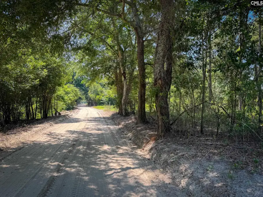 0 Lewis Waters Road #Lot 2, Leesville, SC 29070 - #3