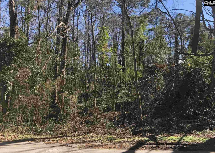 1314 Red Ridge Terrace, Columbia, SC 29203 - #2