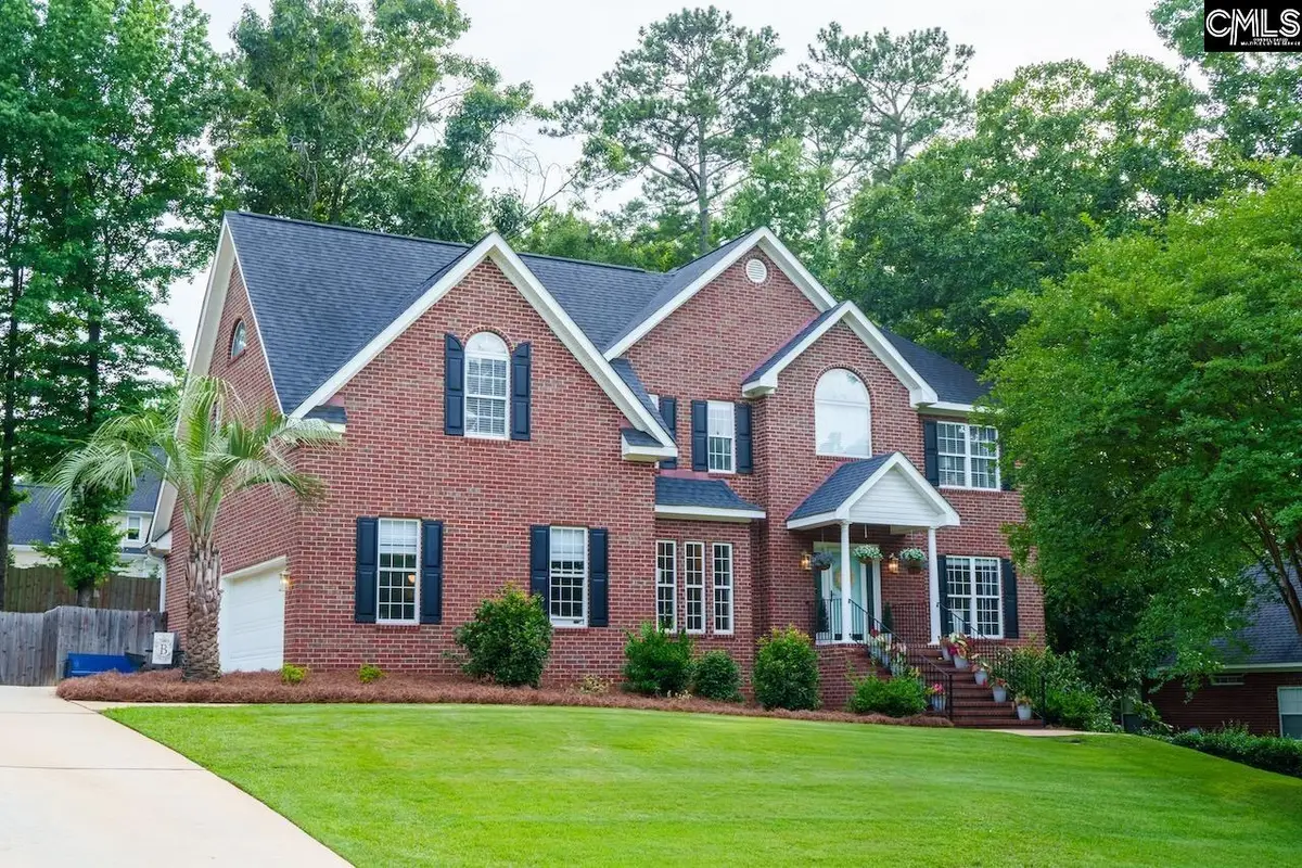 313 Carola Lane, Lexington, SC 29072 - #1