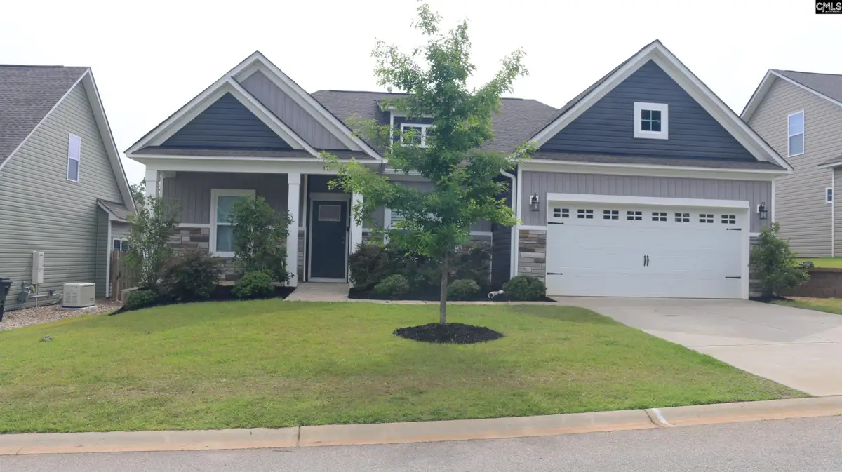 155 Doolittle Drive, Chapin, SC 29036 - #1