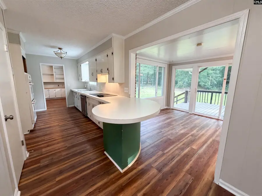 240 Hiram Allen Road, Blythewood, SC 29016 - #2