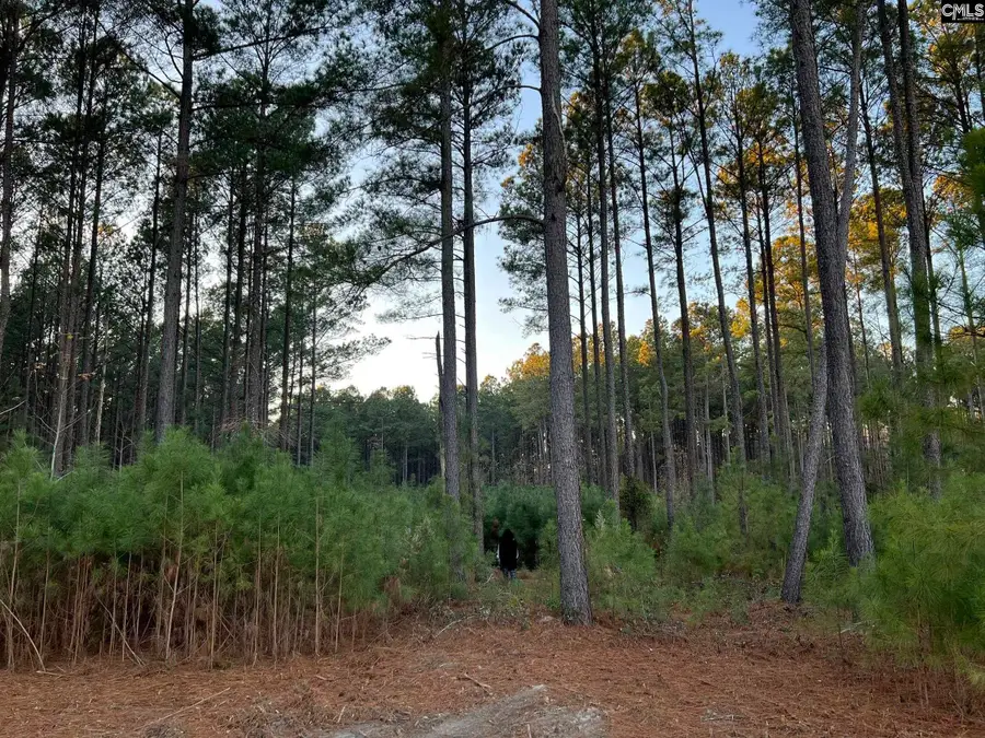 657 Old Field Road, Leesville, SC 29070 - #2