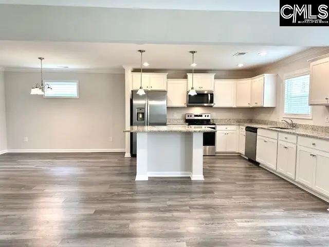 13 Arizona Court, Elgin, SC 29045 - #2