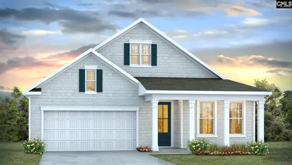 125 Sunny Stream Drive, Chapin, SC 29054