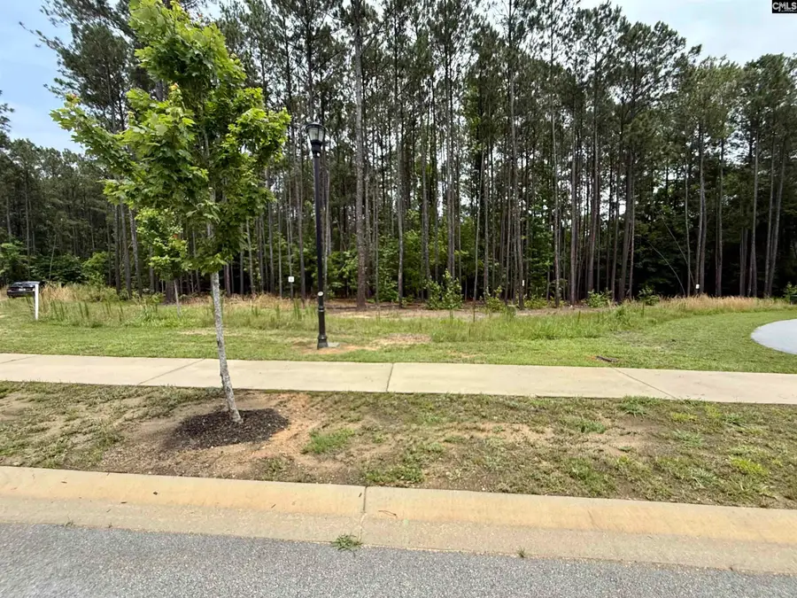 Lot 84 Timber Trail Lane, Prosperity, SC 29127 - #2