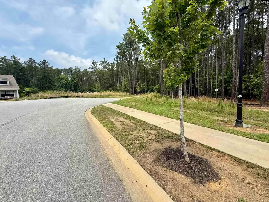 Lot 85 Timber Trail Lane, Prosperity, SC 29127 - #2