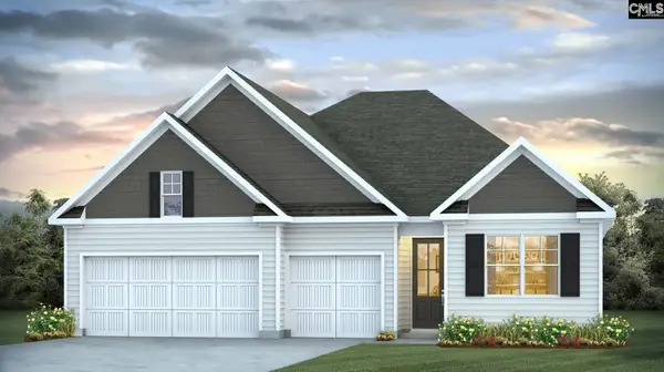 133 Sunny Stream Drive, Chapin, SC 29054