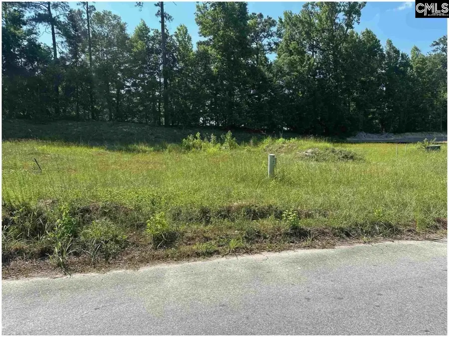 725 Club Cottage Drive, Blythewood, SC 29016 - #2