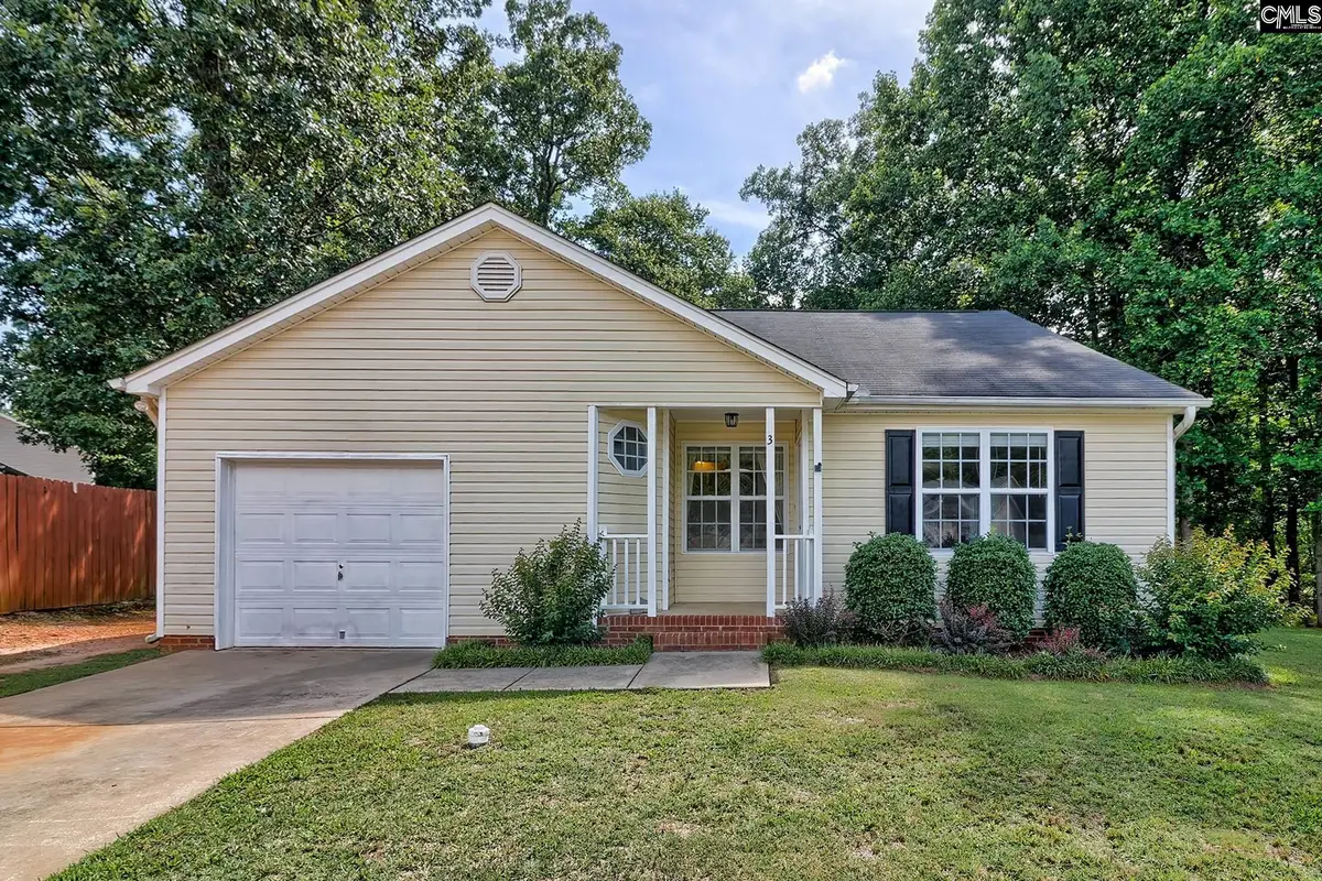 3 Careton Court, Chapin, SC 29036 - #1