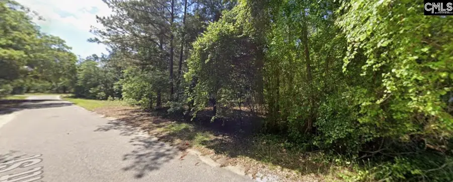 403 Gantt Street, Bethune, SC 29009 - #2