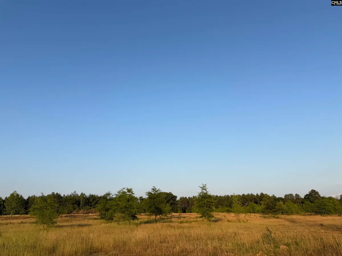 000 Livingston Road, Pomaria, SC 29126 - #1