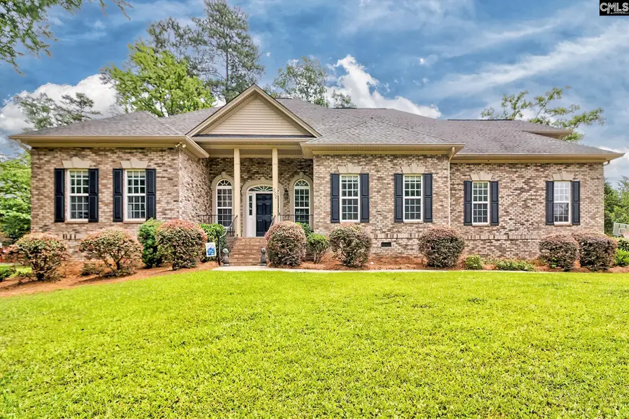 302 Lookout Hill Drive, Chapin, SC 29036 - #2