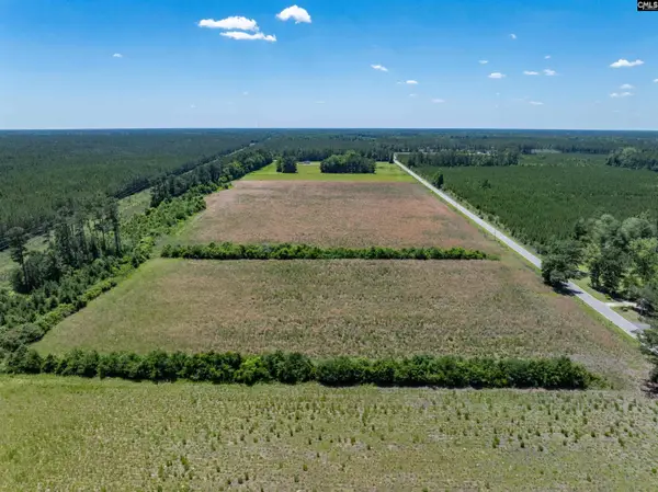 0000 Williams Hill Road #1, Hemingway, SC 29954