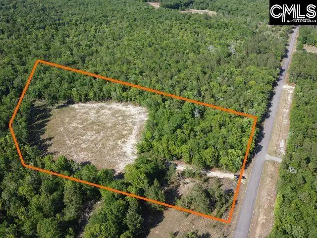 0 Browns Pond Road, Wagener, SC 29164 - #3