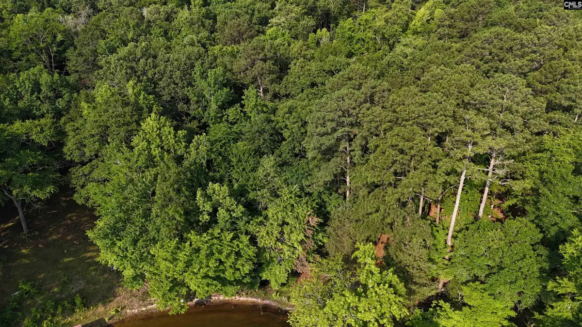 1676 Ginko Trail, Ridgeway, SC 29130 - #1