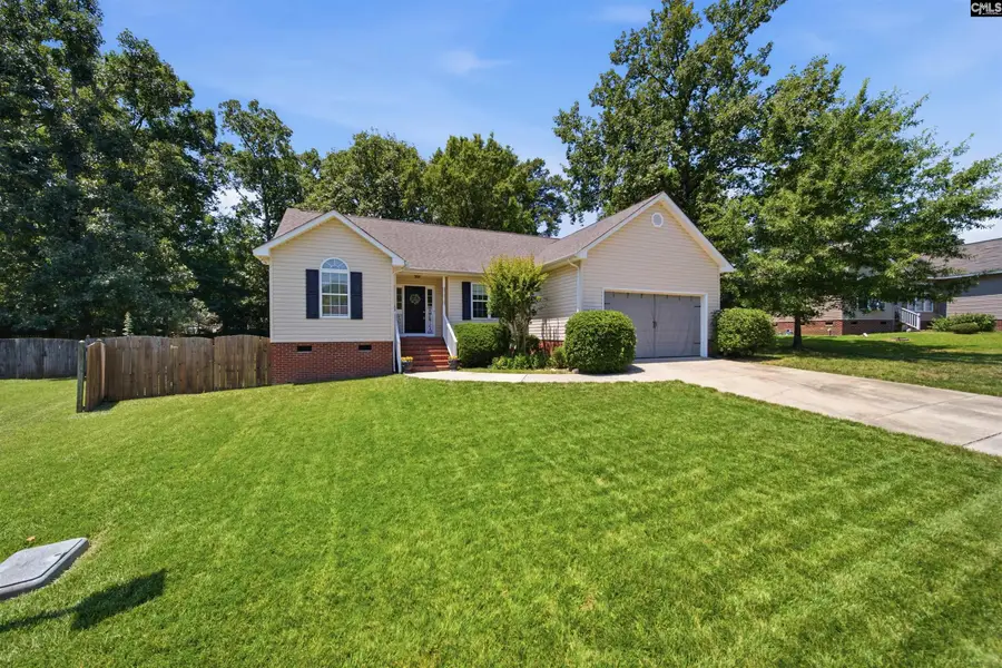 109 Kerry Gibbons Drive, Chapin, SC 29036 - #2