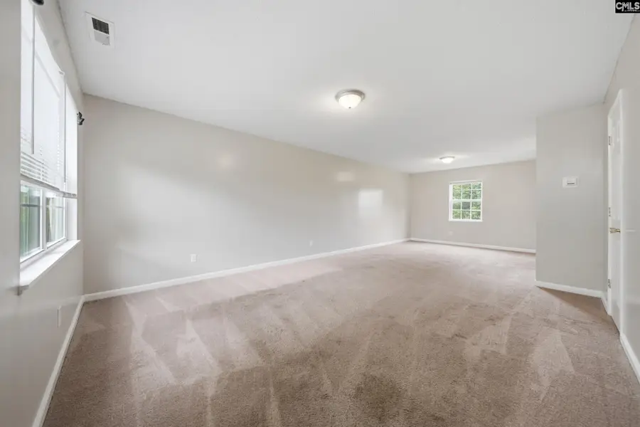 305 Cutter Court, Chapin, SC 29036 - #3