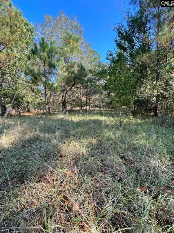 110 Willow Creek Boulevard, Lugoff, SC 29078
