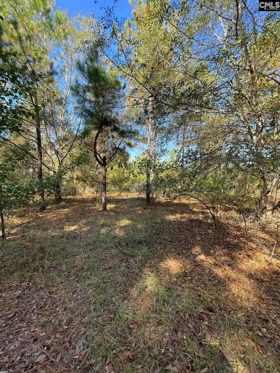 110 Willow Creek Boulevard, Lugoff, SC 29078 - #3