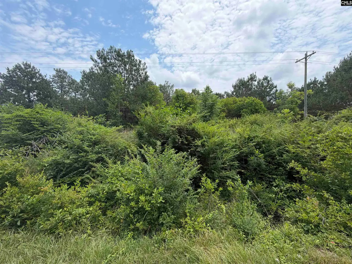 996 Corbett Mill Road, Bishopville, SC 29010 - #1