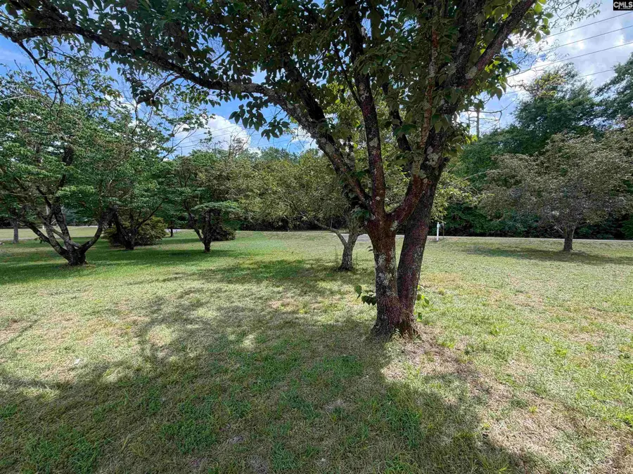 3048 Timrod Road, Bethune, SC 29009 - #2