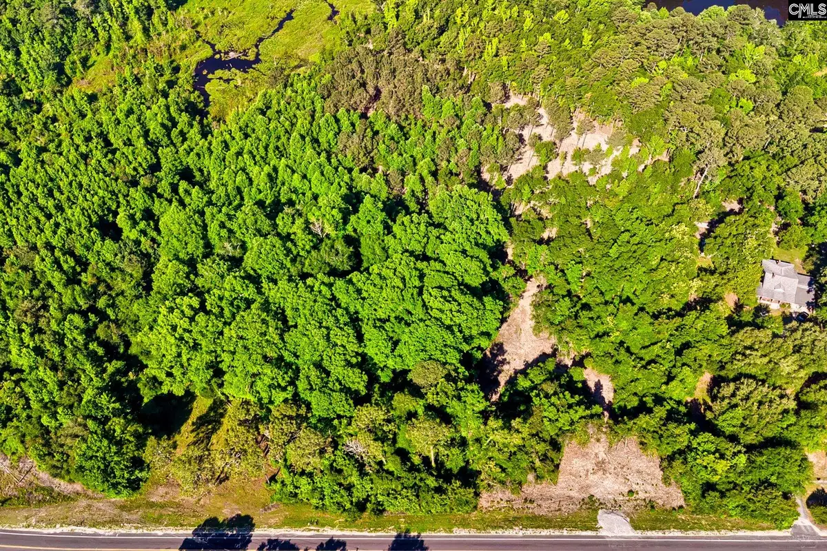 1018 Savannah Highway, Swansea, SC 29160 - #1