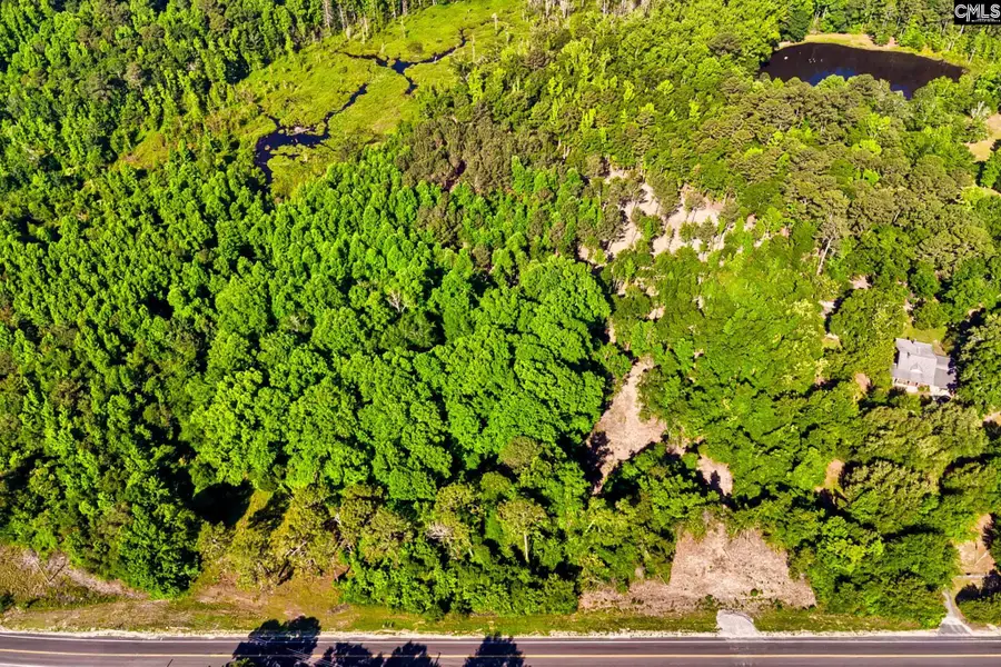 1018 Savannah Highway, Swansea, SC 29160 - #2