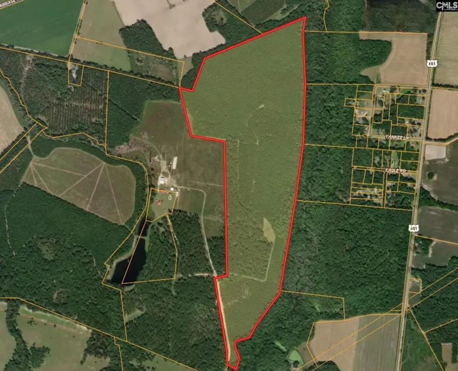 0 Rizer Cemetery Road, Ehrhardt, SC 29081 - #2