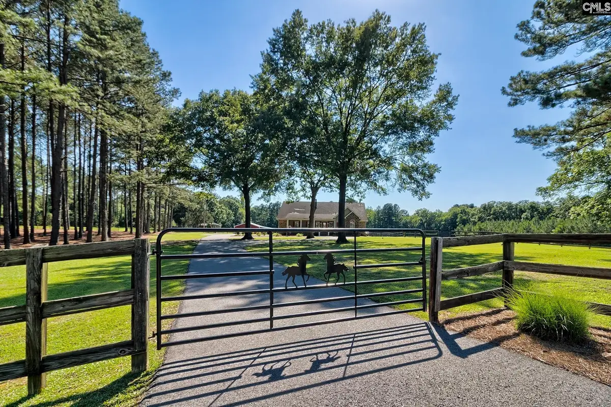 307 Old Bush River Road, Chapin, SC 29036 - #1