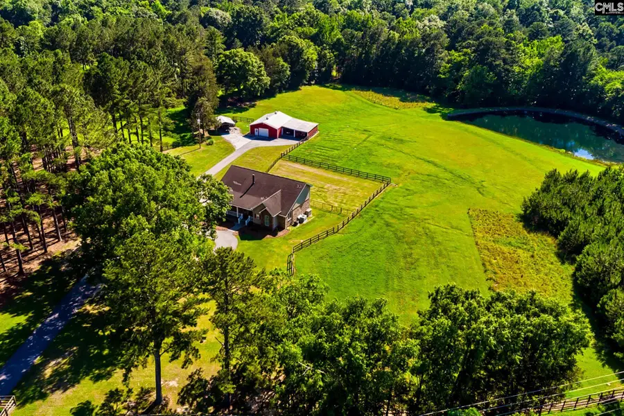 307 Old Bush River Road, Chapin, SC 29036 - #2
