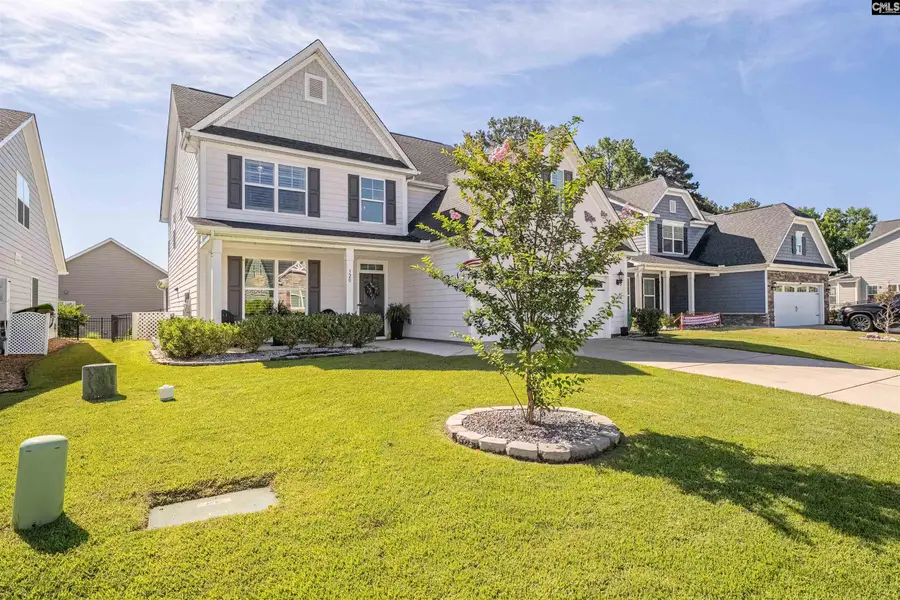 320 Brenthaven Drive, Chapin, SC 29036 - #2