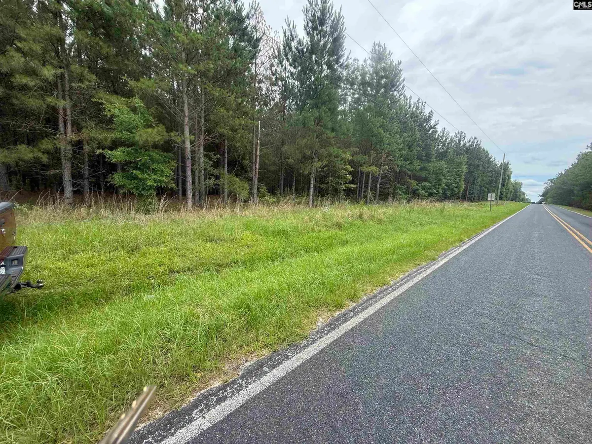 00 Seivern Road, Wagener, SC 29164 - #1